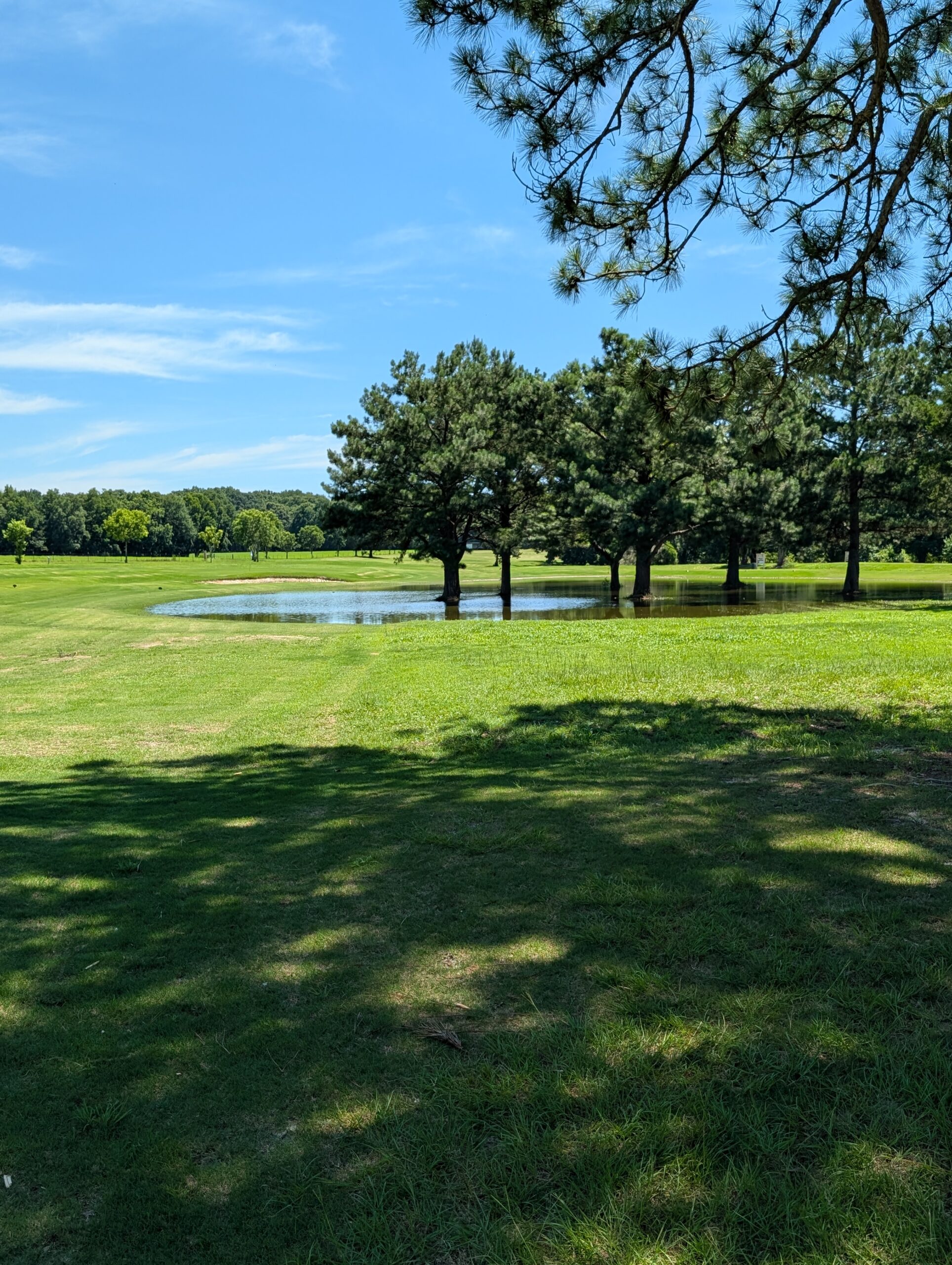 Temporary Water Hole at Brundidge Country Club